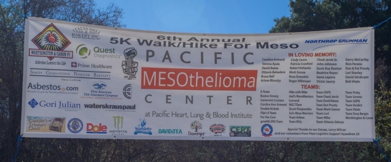  6th Annual Walk/Hike for Mes